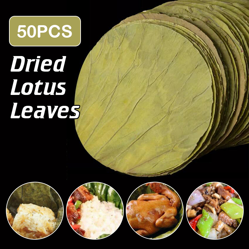 50 Buah 22Cm Cakram Daun Terat - Home Cooking Recipes ulasan dan harga