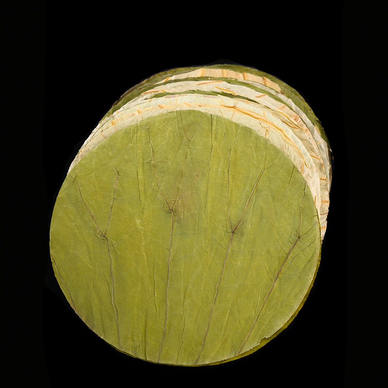 50 Buah 22Cm Cakram Daun Terat - Home Cooking Recipes ulasan dan harga