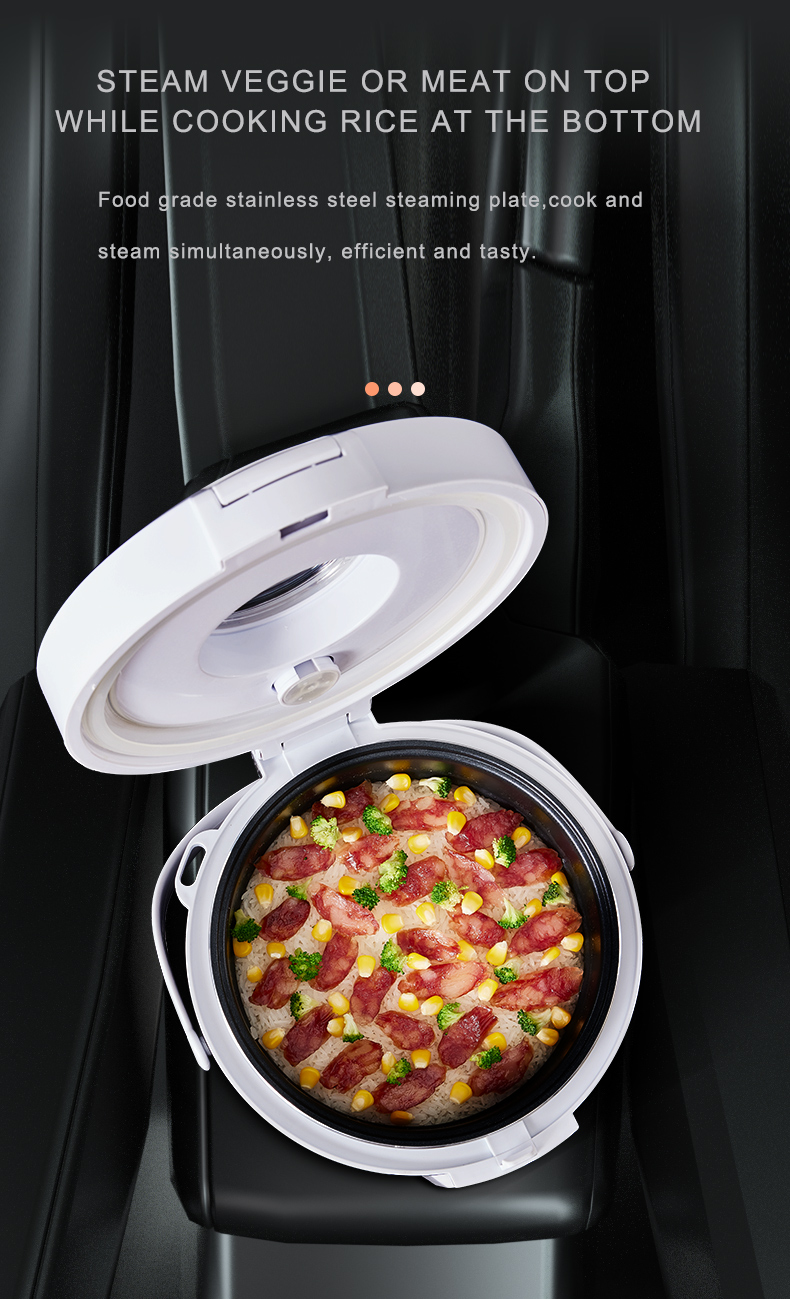 Pemanas Makanan 24V untuk Truk - Home Cooking Heater ulasan dan harga